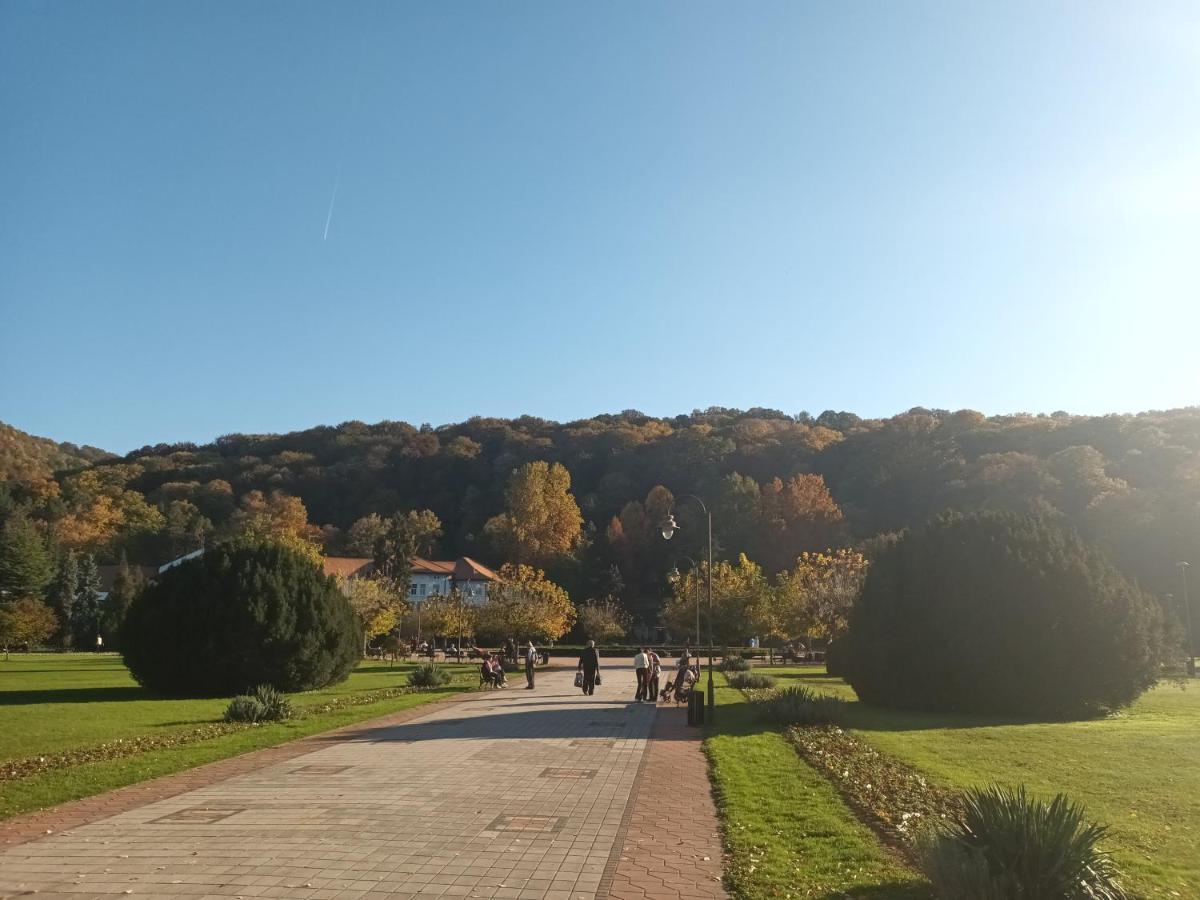 Apartman Lavanda Banja Koviljača Buitenkant foto