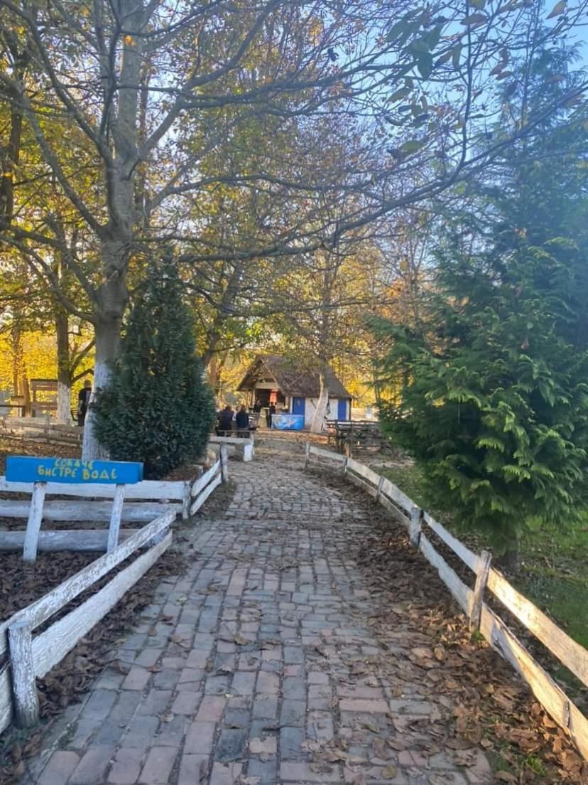Apartman Lavanda Banja Koviljača Buitenkant foto