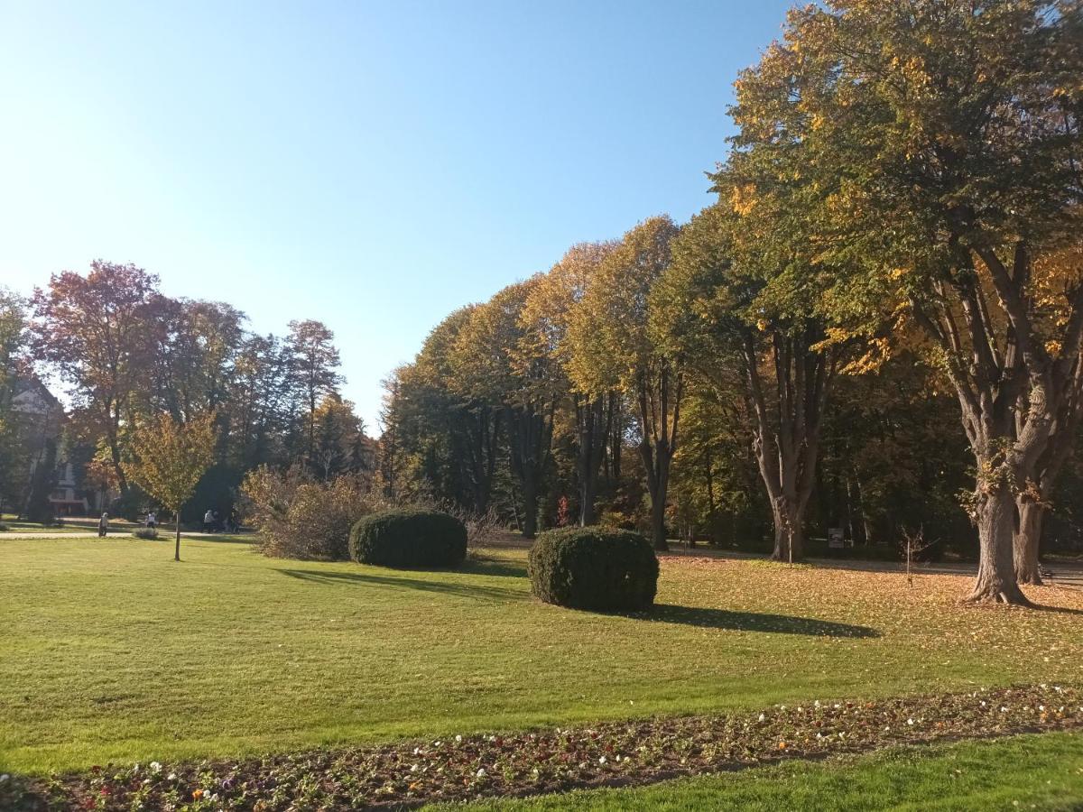 Apartman Lavanda Banja Koviljača Buitenkant foto